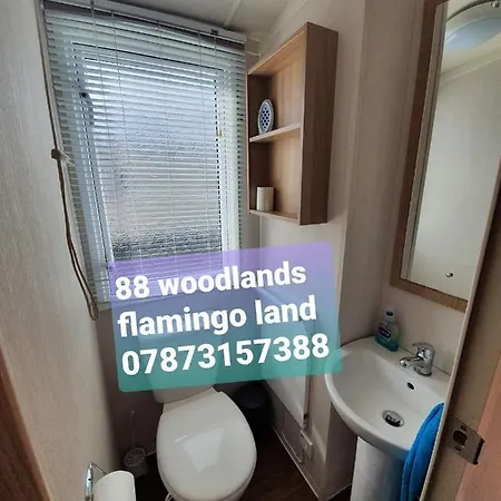 Vize Flamingo Hire